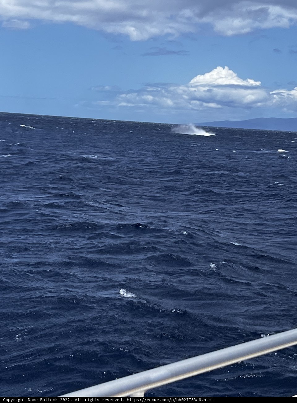 Sailing on the Blue Ocean