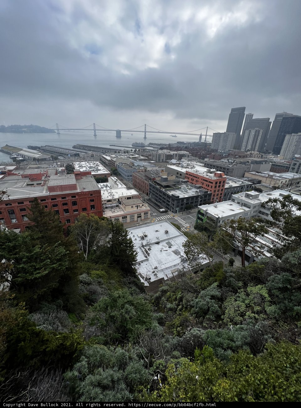 Cityscape View from Hilltop in San Francisco