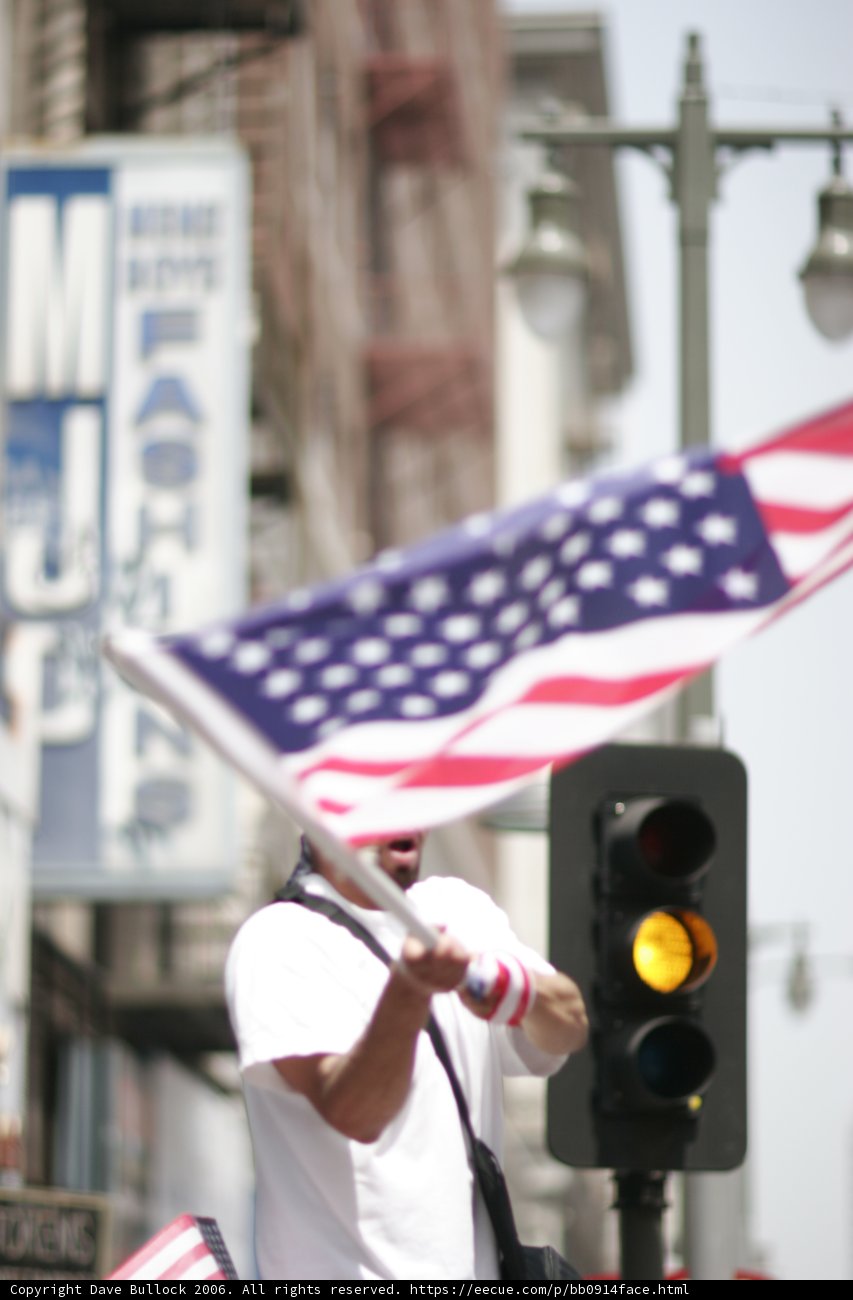 Proudly Holding the Stars and Stripes