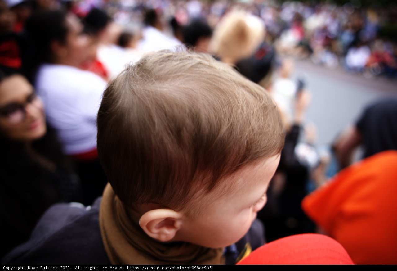Little Explorer in Disneyland