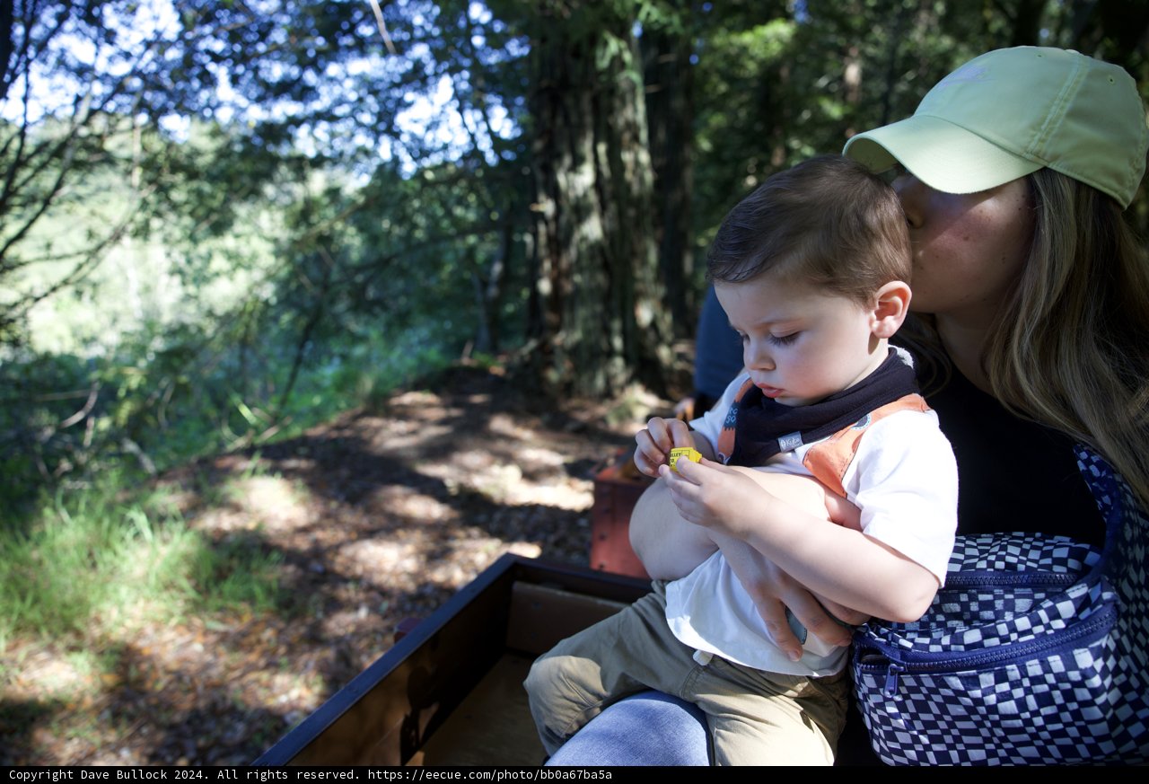 Tranquil Moments in Tilden Park
