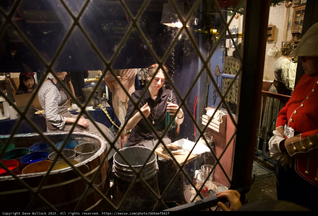 Reflections of a Performer
