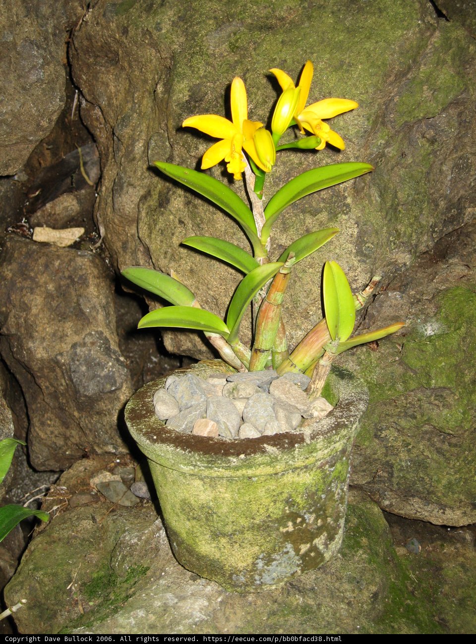 A Sunny Addition to the Garden