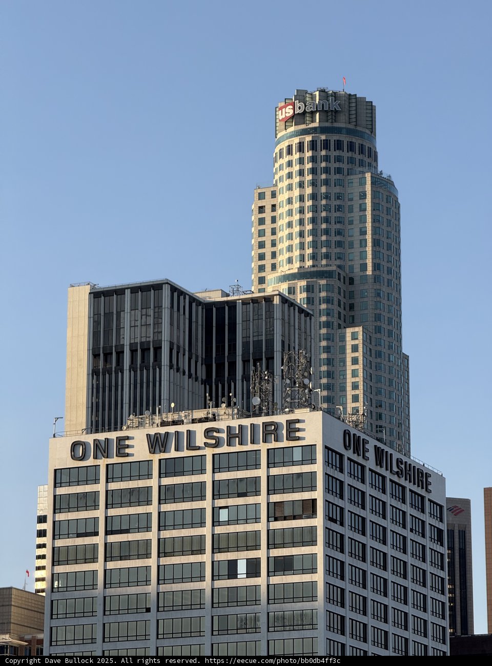 Urban Giants of Los Angeles