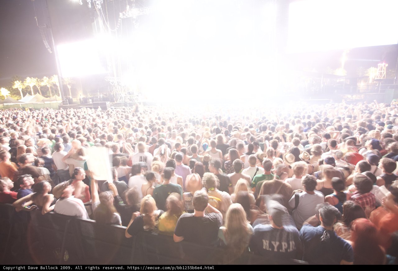 Concert Goers at Coachella 2009
