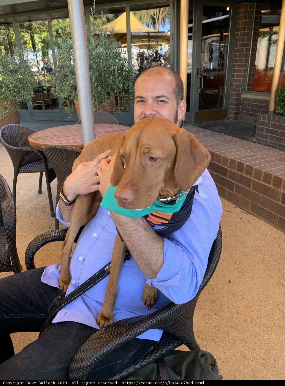Man and his Canine Companion