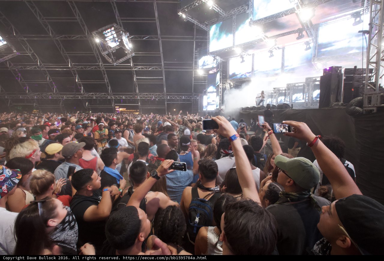 Concertgoers Shine Under Coachella Spotlight