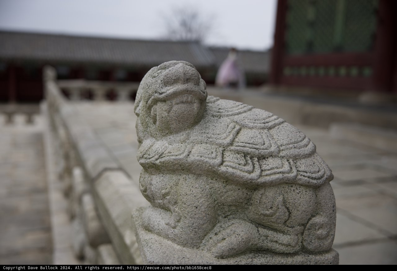 Stone Sentinel: The Turtle Guardian of the Monastery