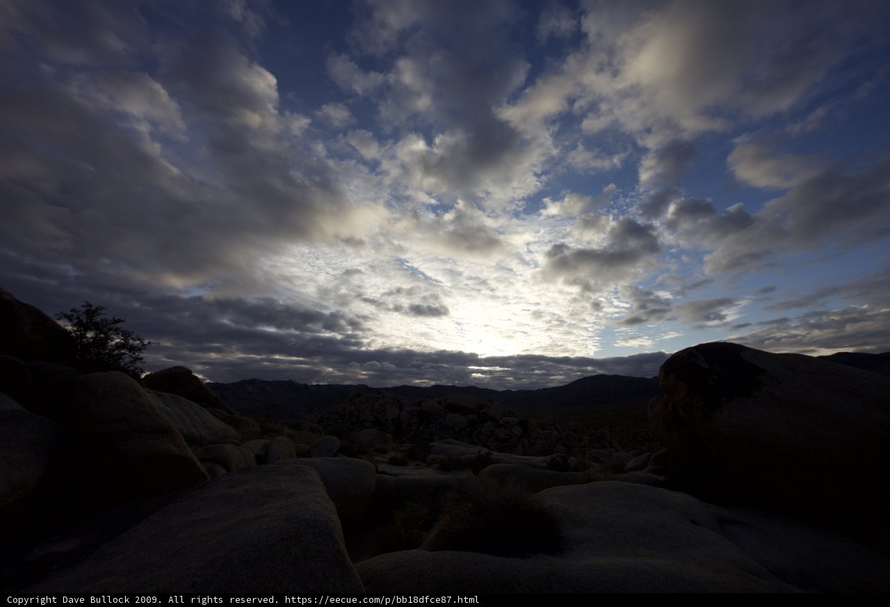 Radiant Over Joshua Tree Plateau