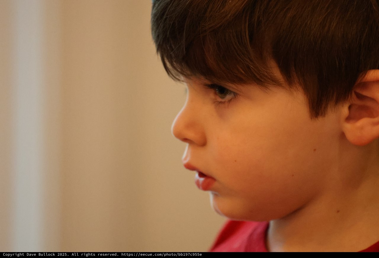 Young Boy in Contemplative Profile Portrait