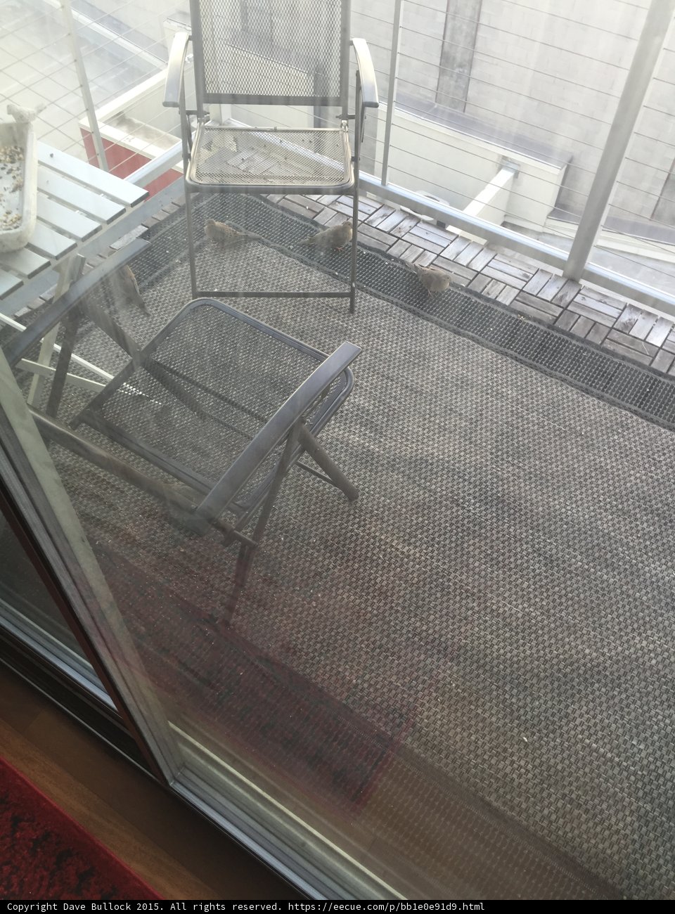 A Scenic View of the Patio through the Glass Door