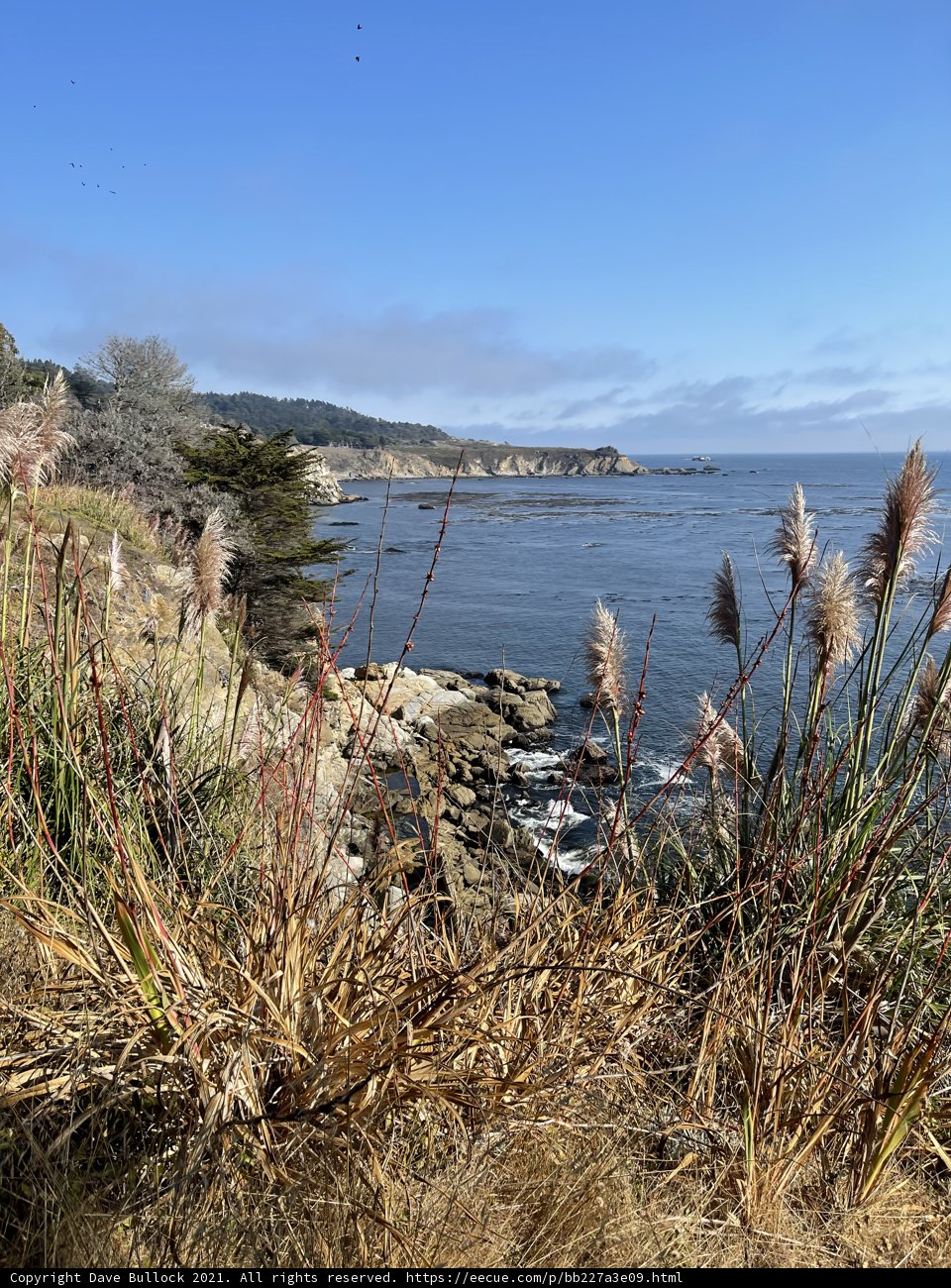Serene Seaside Scenery
