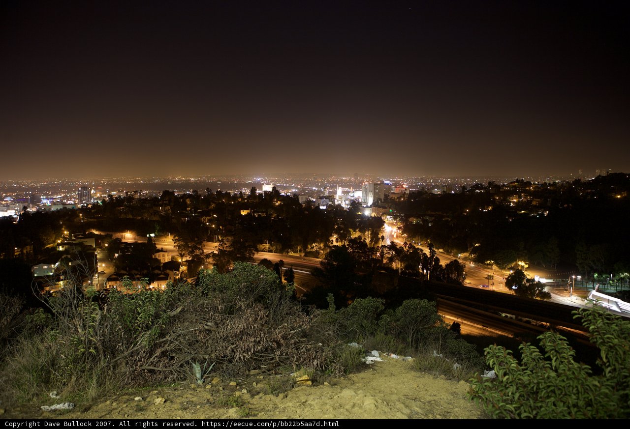 Metropolis Nights