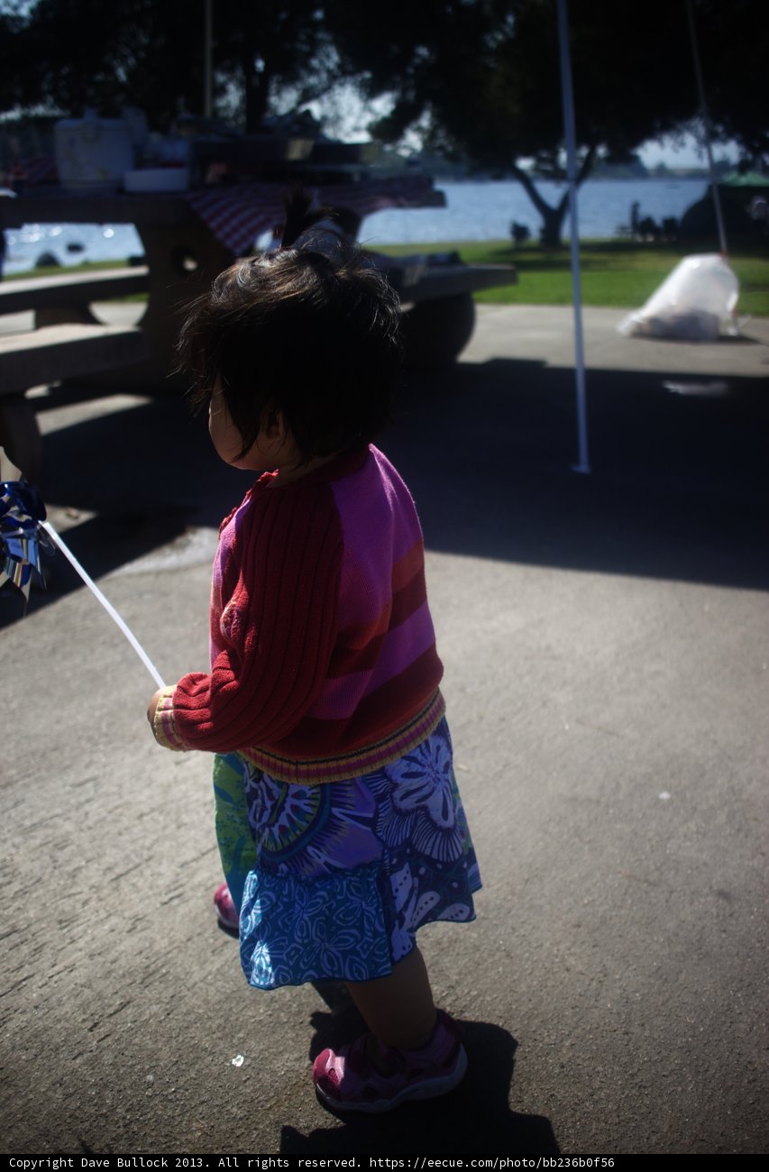 Little girl enjoys flying kite on a sunny day