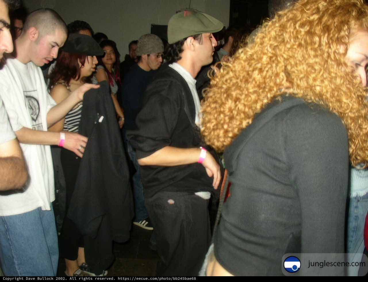 Night Club Crowd