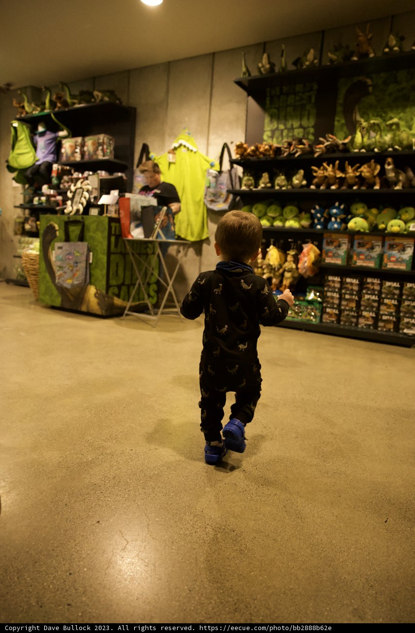 A Little Explorer's Adventure in Toyland