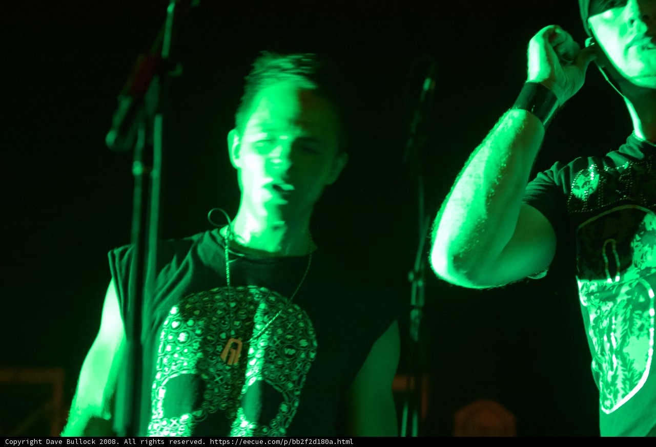 Lights and Vocals at Coachella