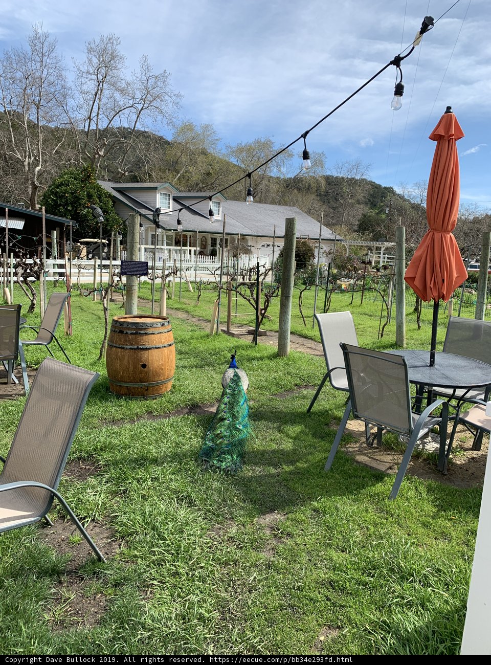 Backyard Getaway