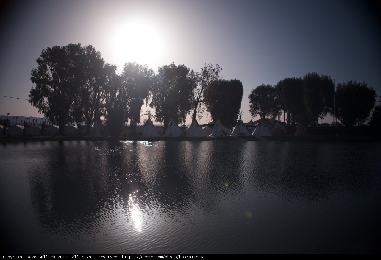 Sunlit Silhouette: Trees and Water meet the Sun