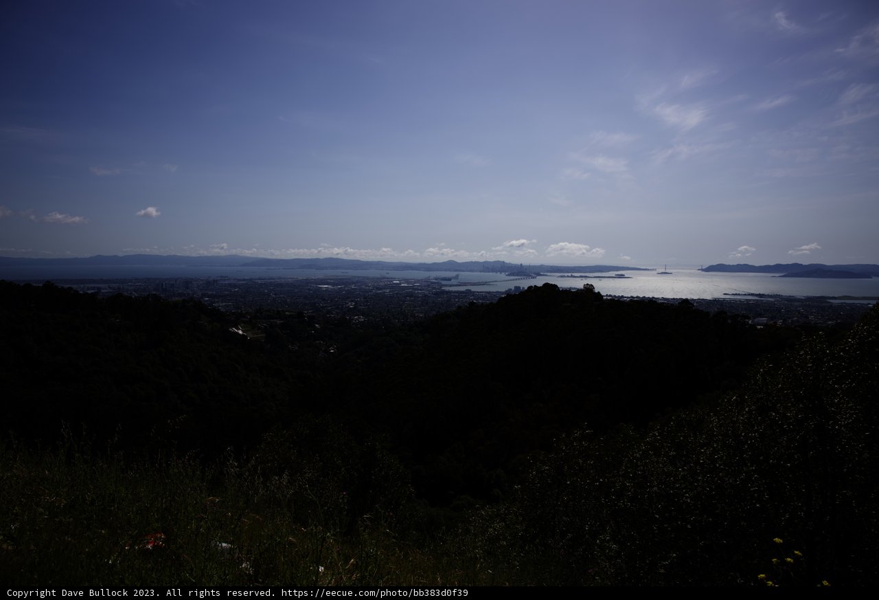 Hilltop Haven in Berkeley