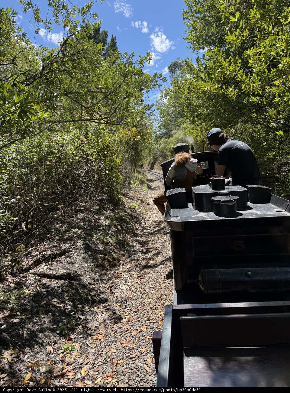 Journey Through the Wilderness