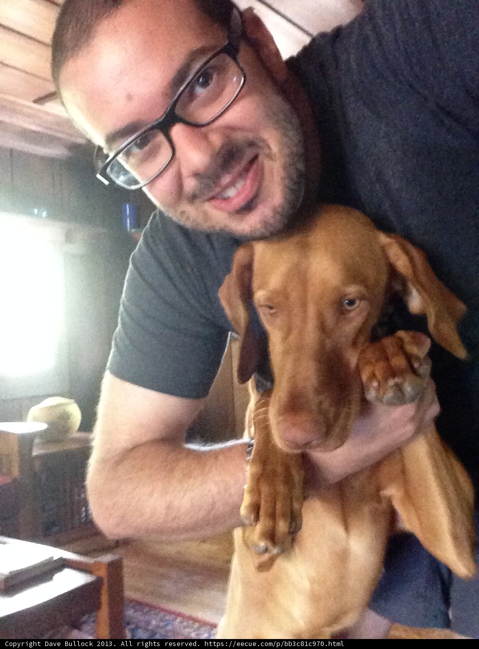 Man's Best Friend