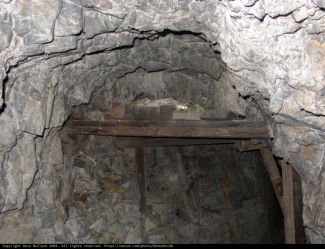 Slate Dungeon Shelter