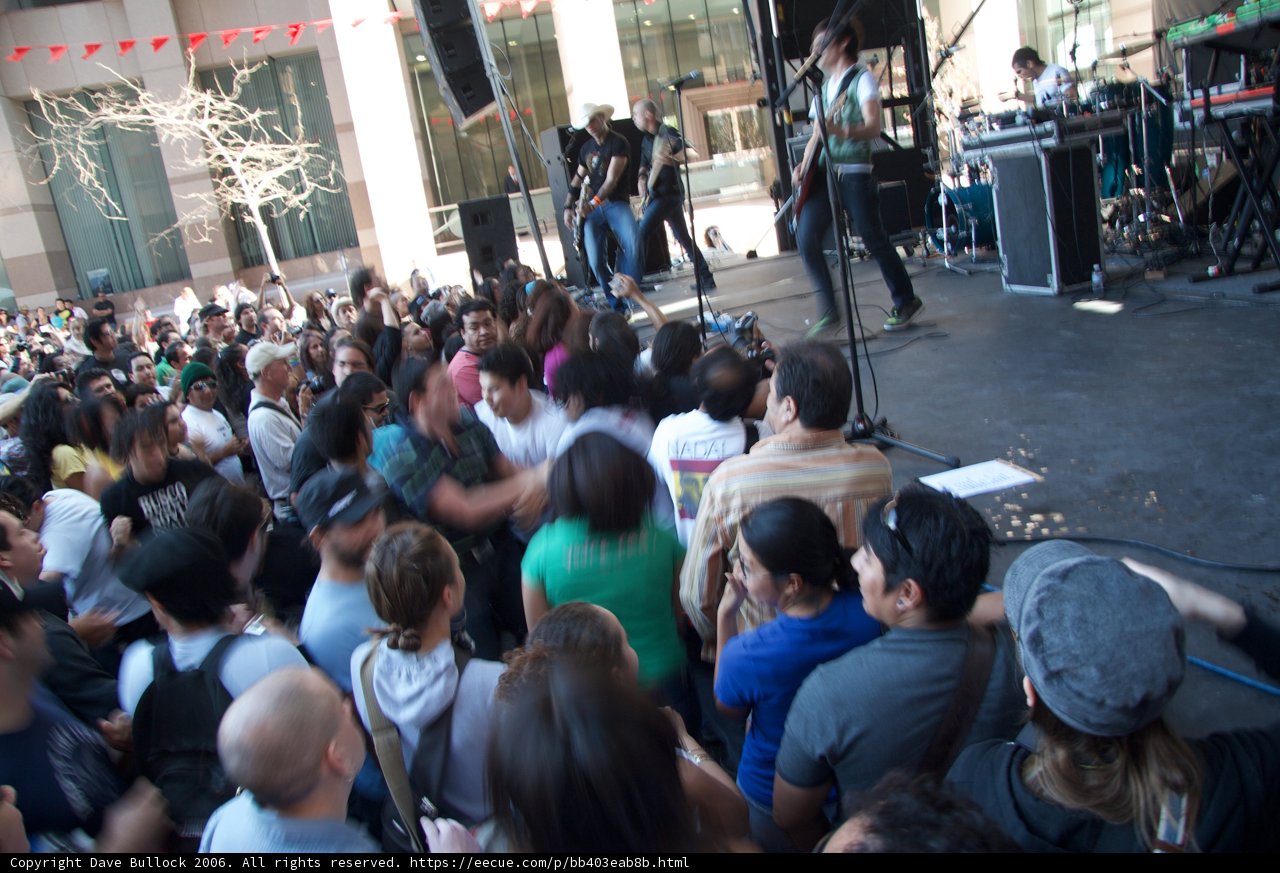 An Energetic Concert Performance