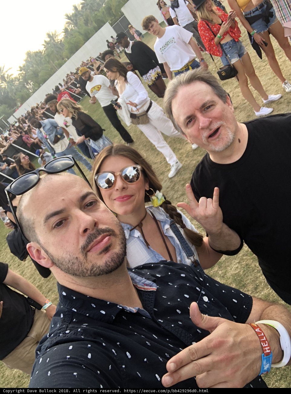 Selfie at the Music Festival