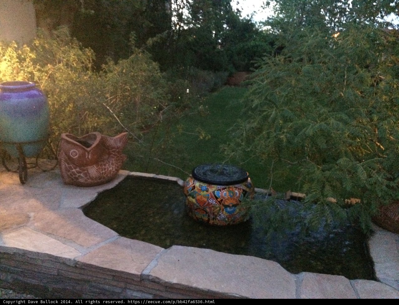 Serene Backyard Garden with Fountain and Pots