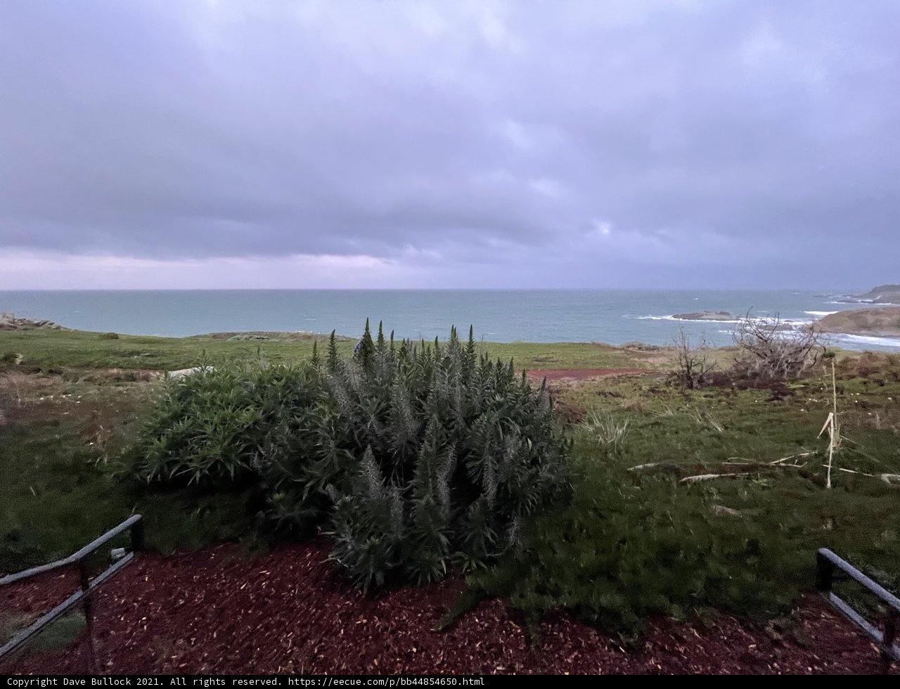 Majestic Ocean View from Jenner Hillside