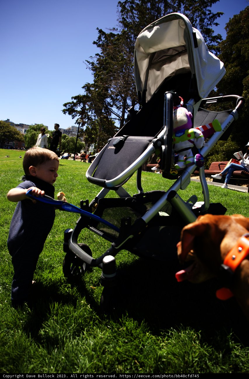 Sunny Stroll in Delores Park with Family