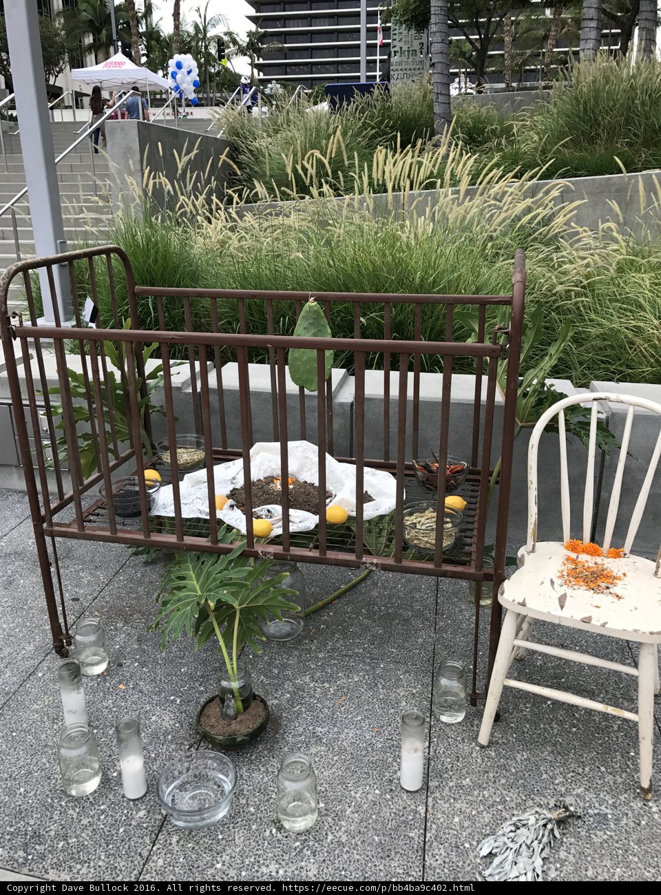 Sweet Dreams in the Garden