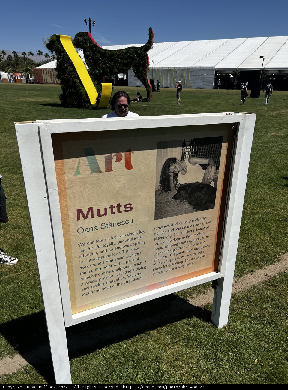 Grass Advertising