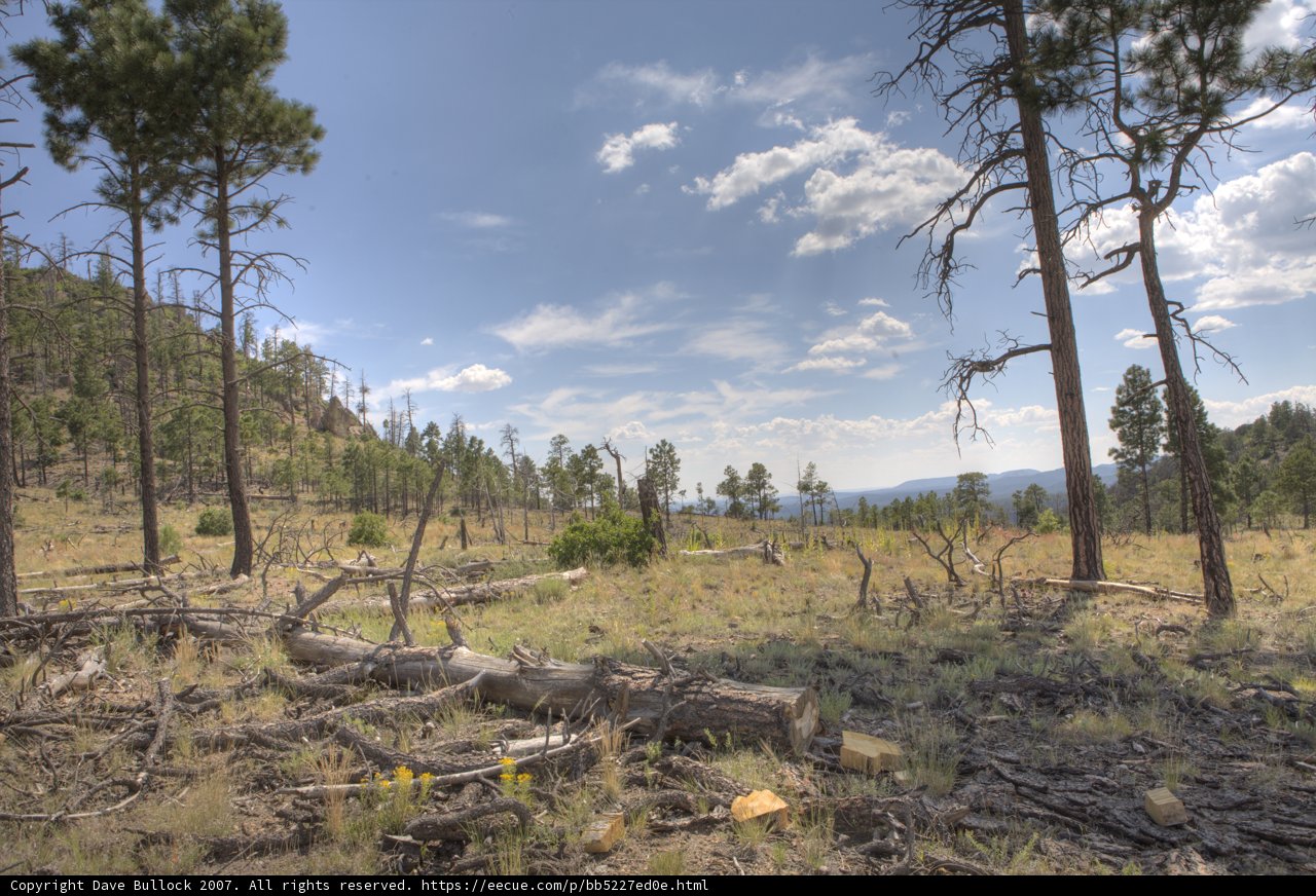 Dome Wilderness