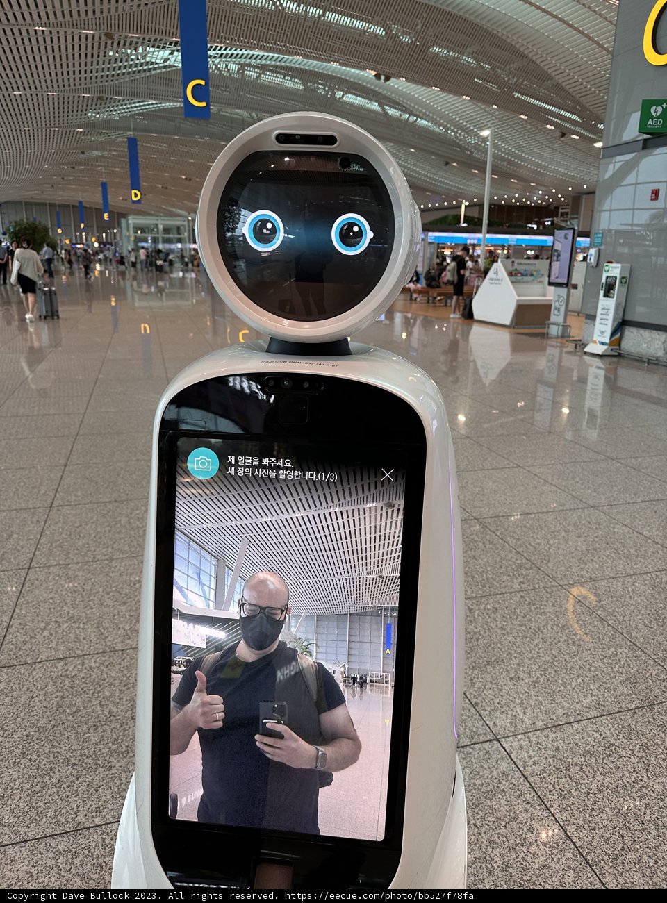 The Robotic Adventure