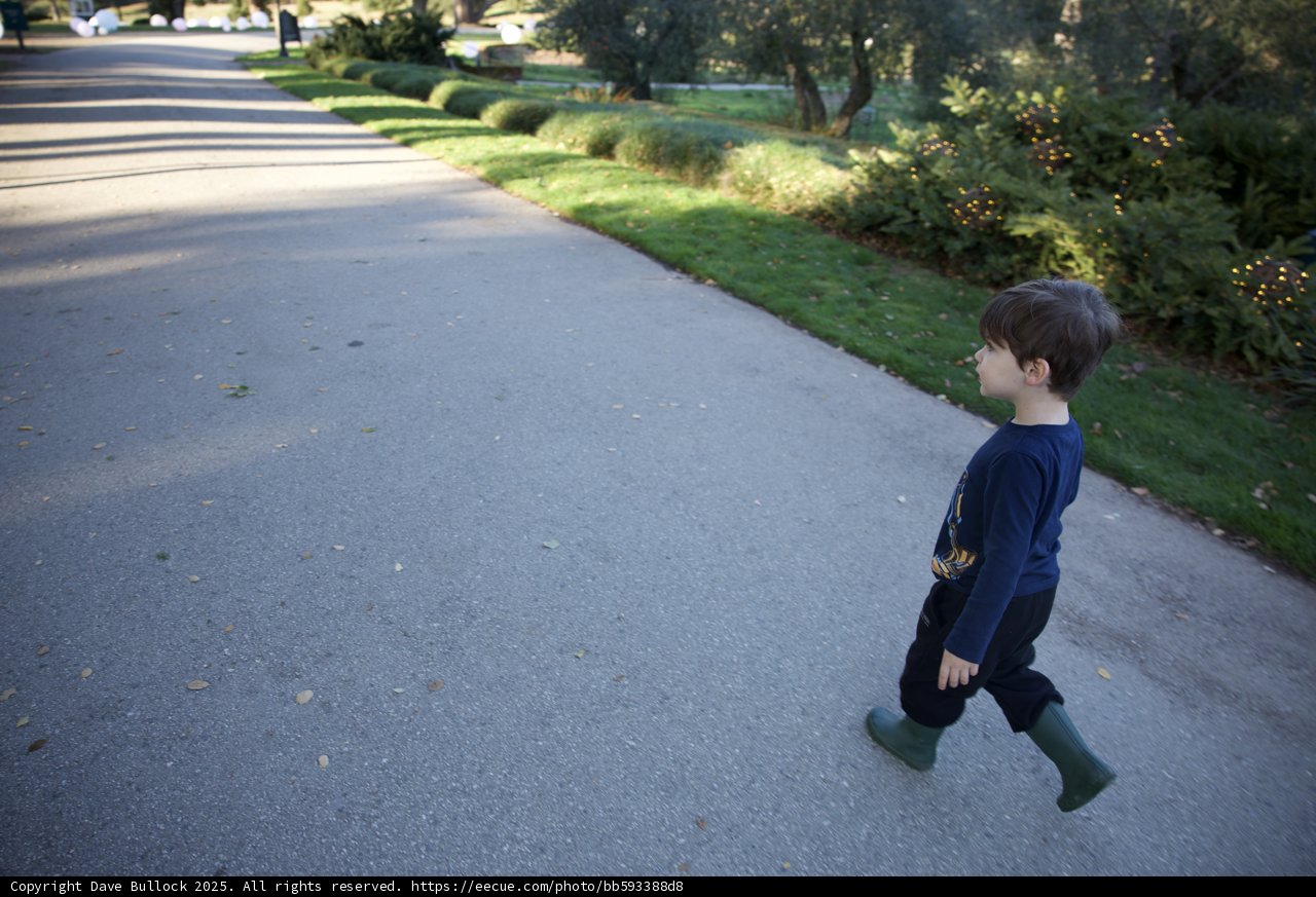 Stroll Through Thistlewyck