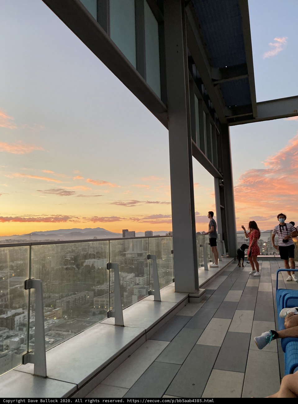 Overlooking San Francisco's Beauty