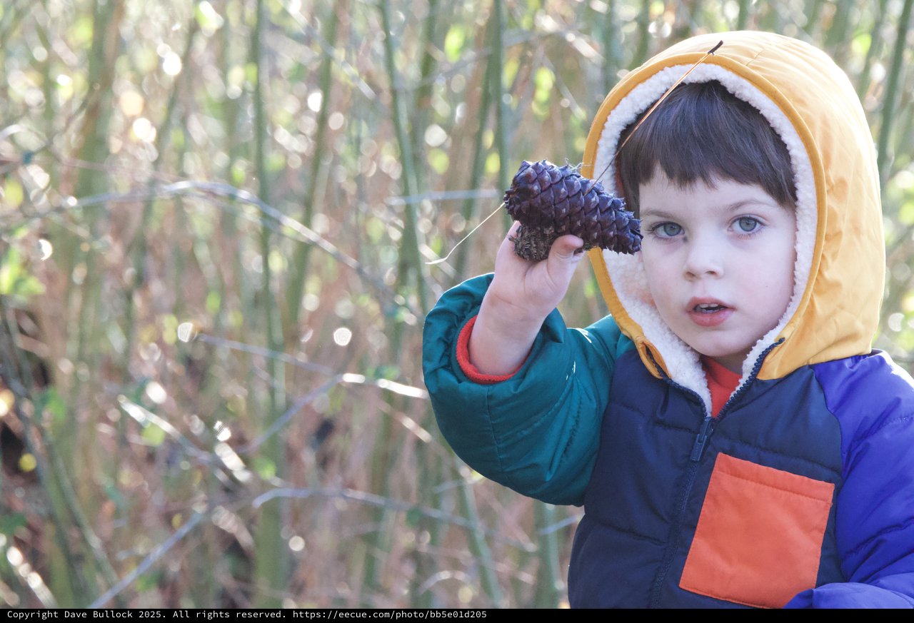Young Explorer Discovers Nature's Treasure in Winter Forest