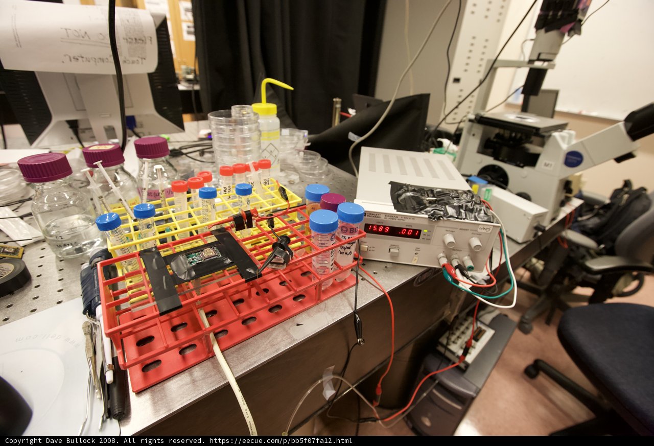 Lab Setup: Microscopy and Computing