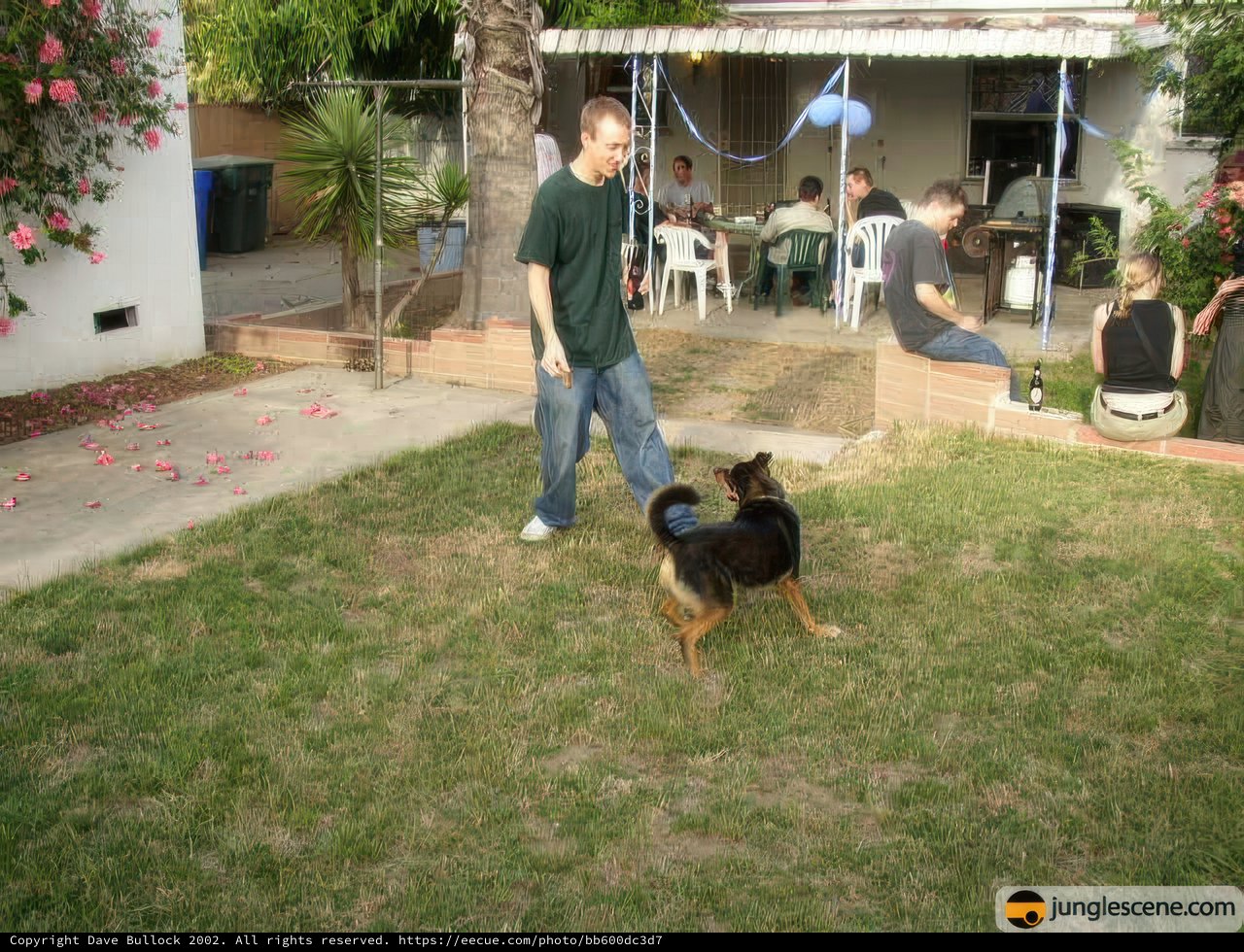 Man and Dog Play Frisbee in the Backyard