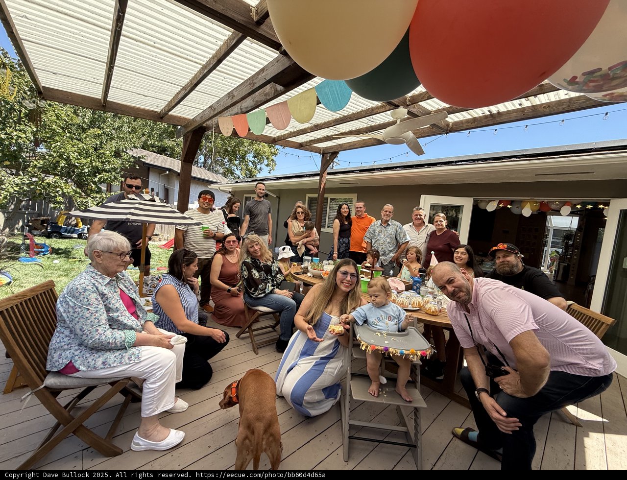 Lively Backyard Brunch