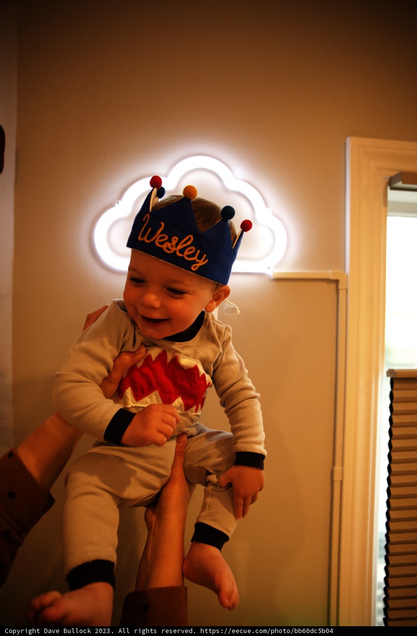 Wesley's Fantastic First Birthday Bash