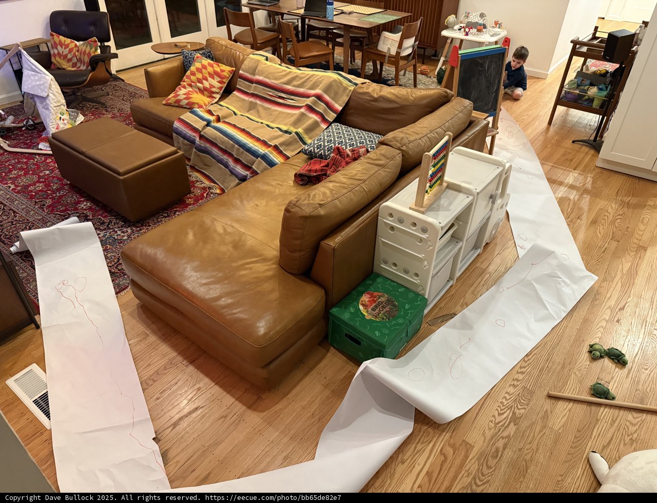 Cozy Chaos in the Living Room
