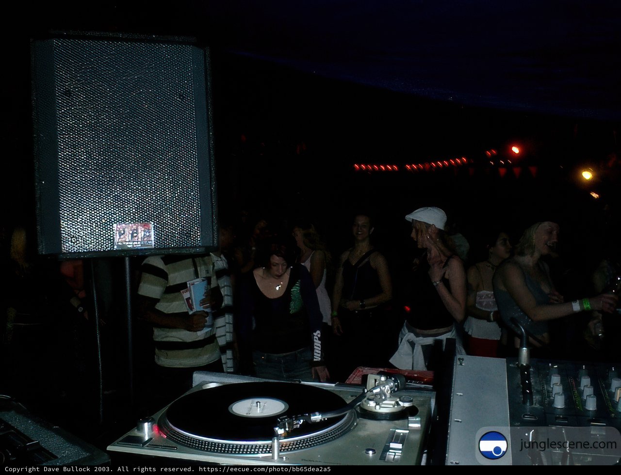 DJ spinning tunes for a lively nightclub crowd