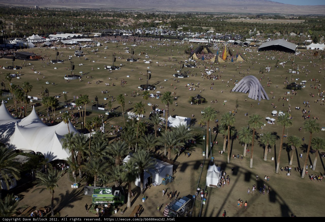 Camping under the Palm Trees