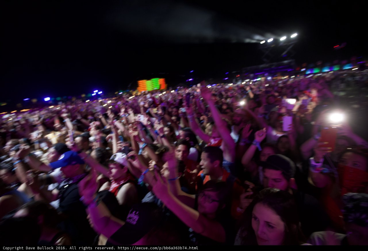 Electric Crowd at Coachella