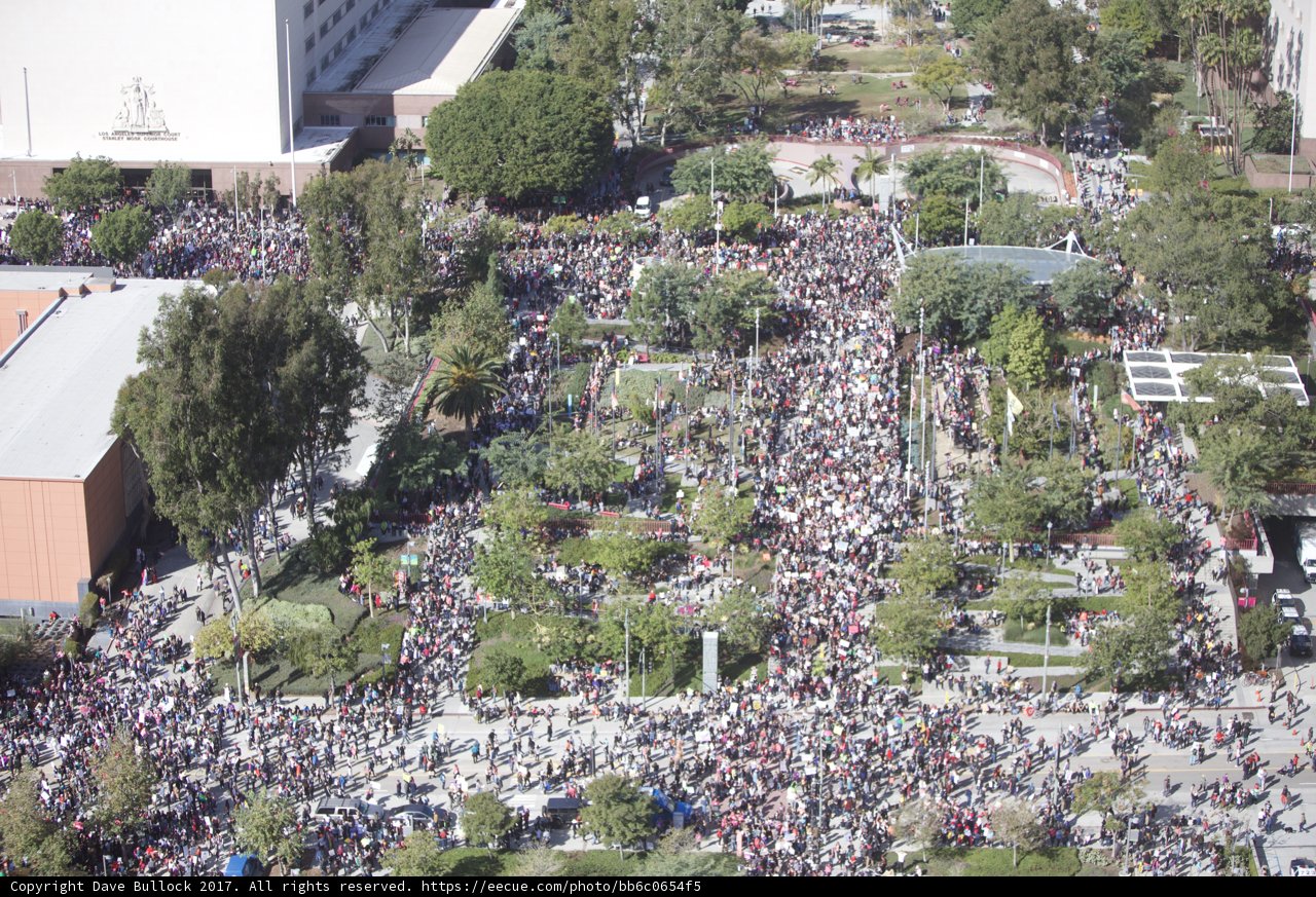 Massive Crowd Gathers in Downtown Metropolis