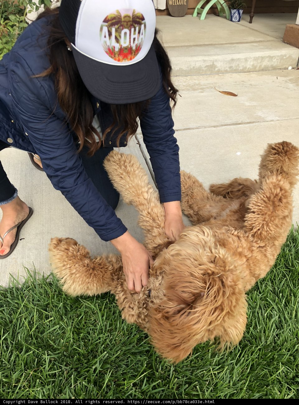 A Woman and Her Poodle