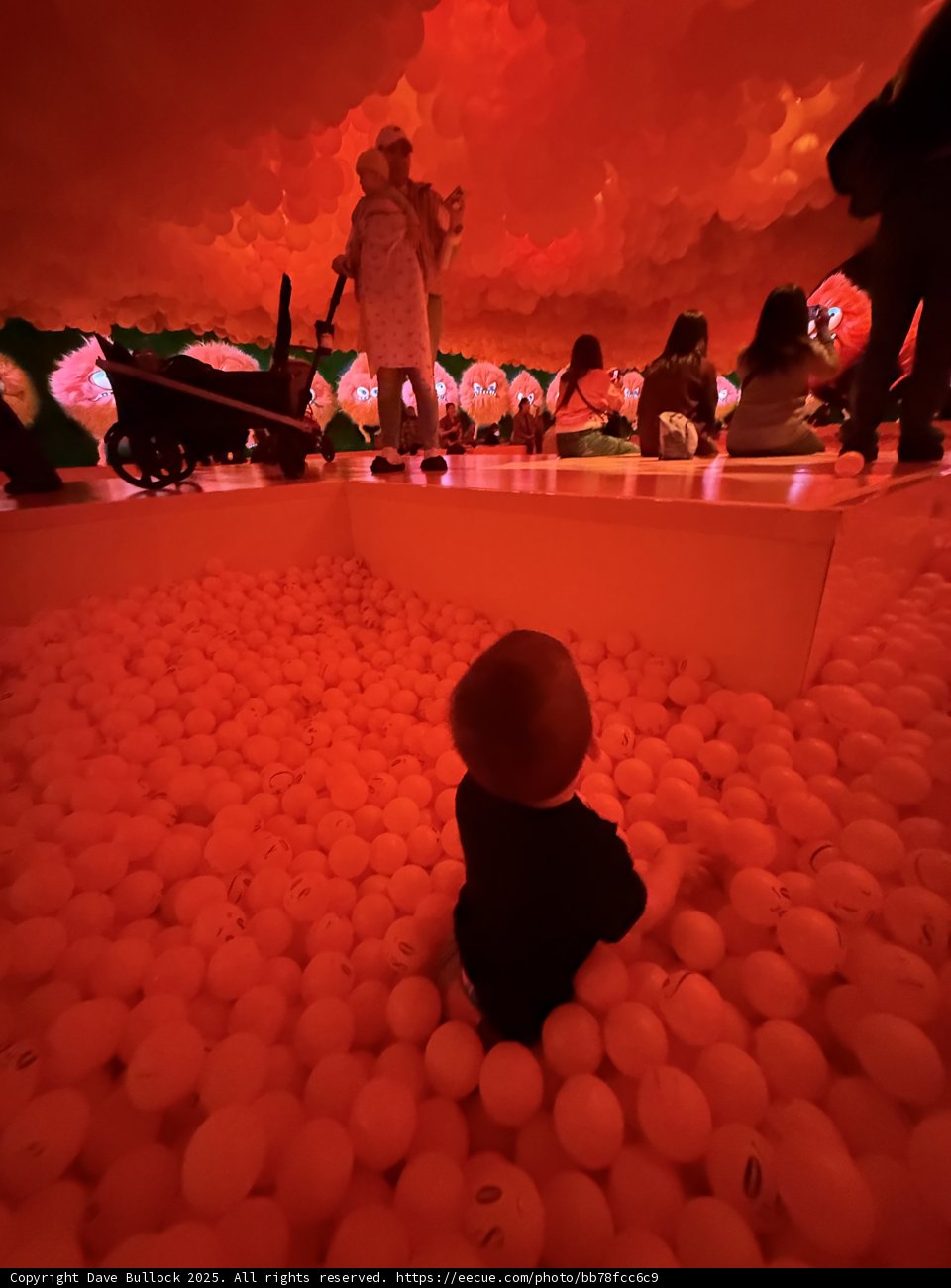 Exploring Wonders: A Day at the Art Installation